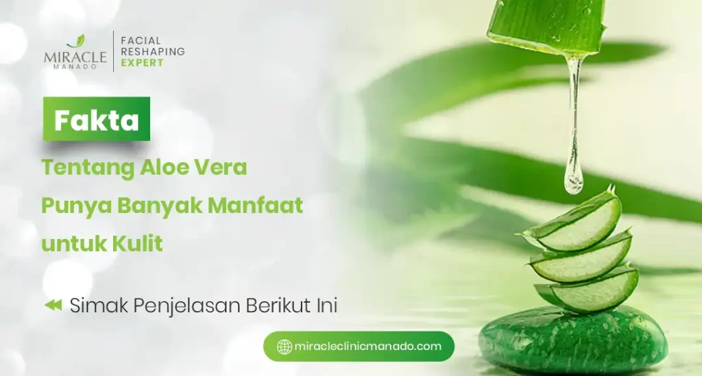 Fakta Tentang Aloe Vera Punya Banyak Manfaat untuk Kulit