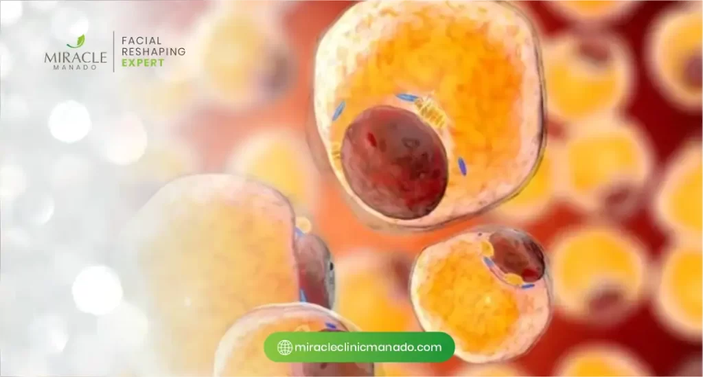 Bagaimana Cara Kerja Biocell Transdermal untuk Mengatasi Bekas Jerawat?