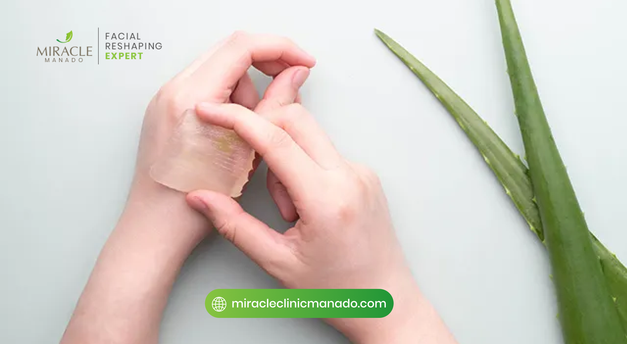 Kandungan Aloe Vera yang Bermanfaat untuk Kulit