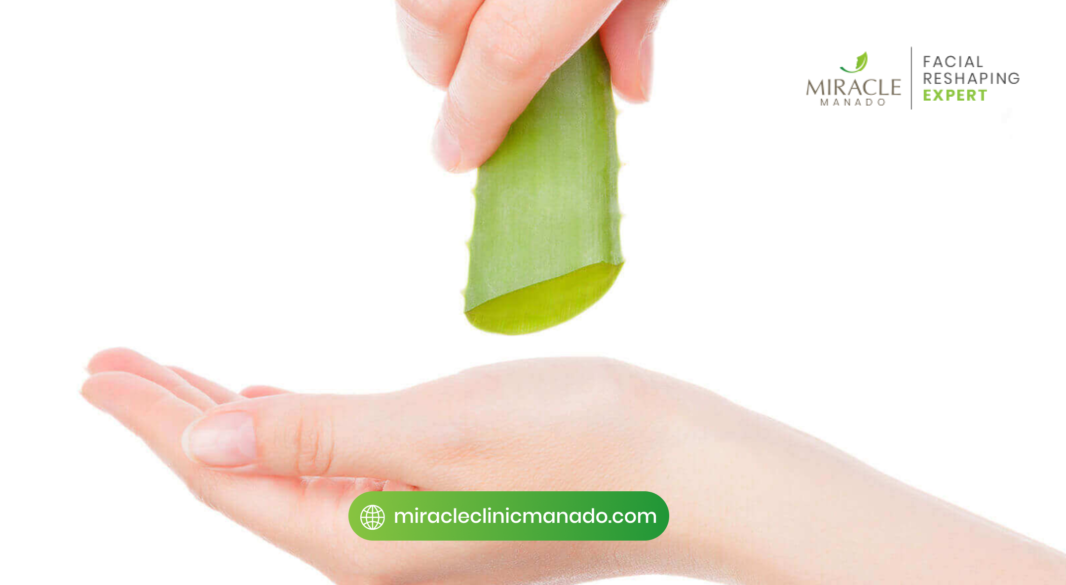 Manfaat Aloe Vera bagi Kesehatan dan Kelembapan Kulit